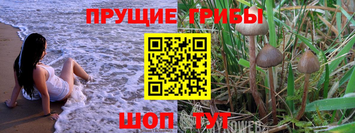 Галлюциногенные грибы мицелий  Вход с VPN  Гулькевичи  Галлюциногенные грибы прущие грибы 
